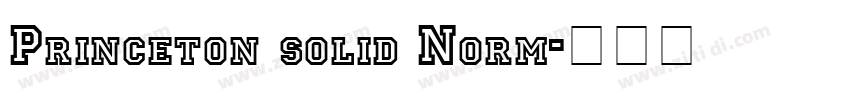 Princeton solid Norm字体转换